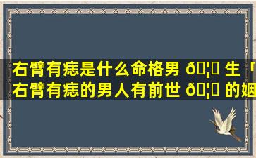 右臂有痣是什么命格男 🦍 生「右臂有痣的男人有前世 🦉 的姻缘」
